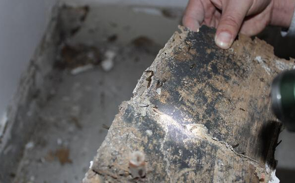 ���Ϸ���