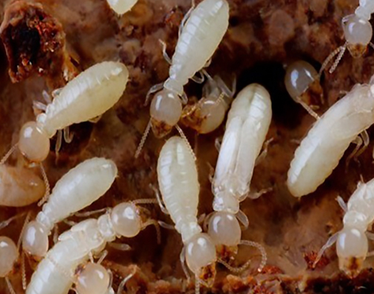 ���Ϸ��ΰ���