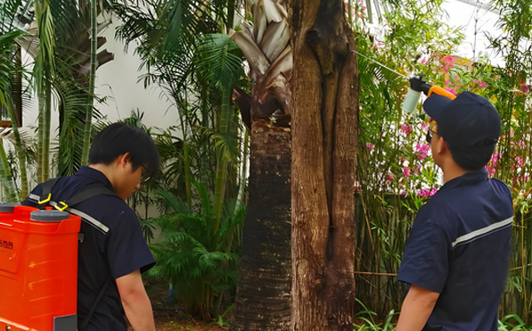 ��ľ���Ϸ���